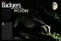 David Dixon's article about the relationship between the moon phase and badger behaviour