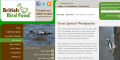 British Bird Food's Woodpecker page