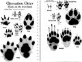 Operation Otter Mammal Footprint Chart